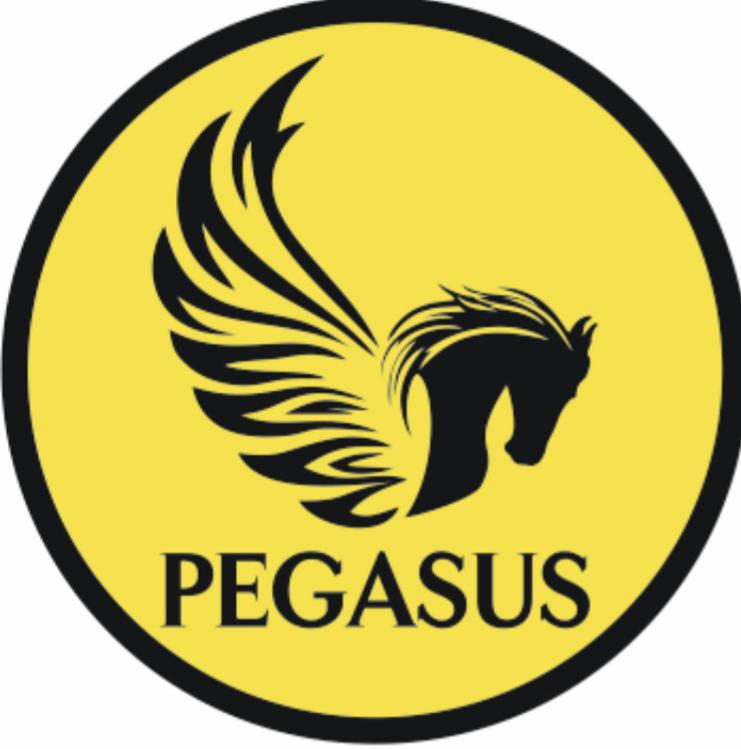 PEGASUS