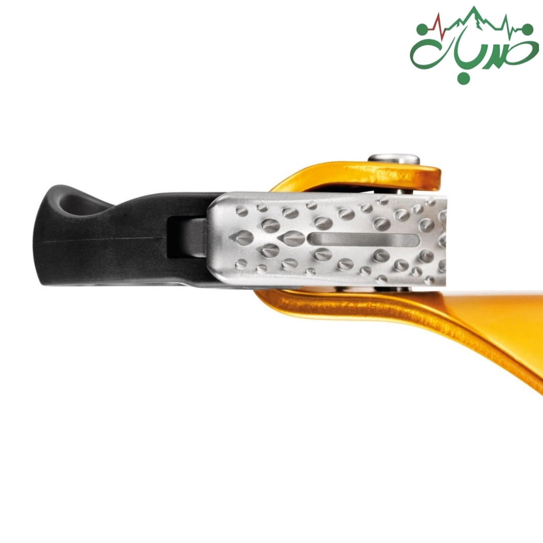 کرول پتزل