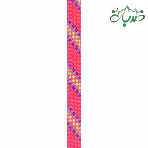 خود حمایت دینامیک