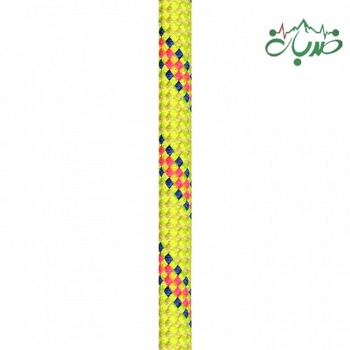 خود حمایت دینامیک