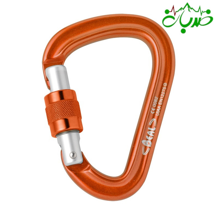 کارابین پیچ بیسیف