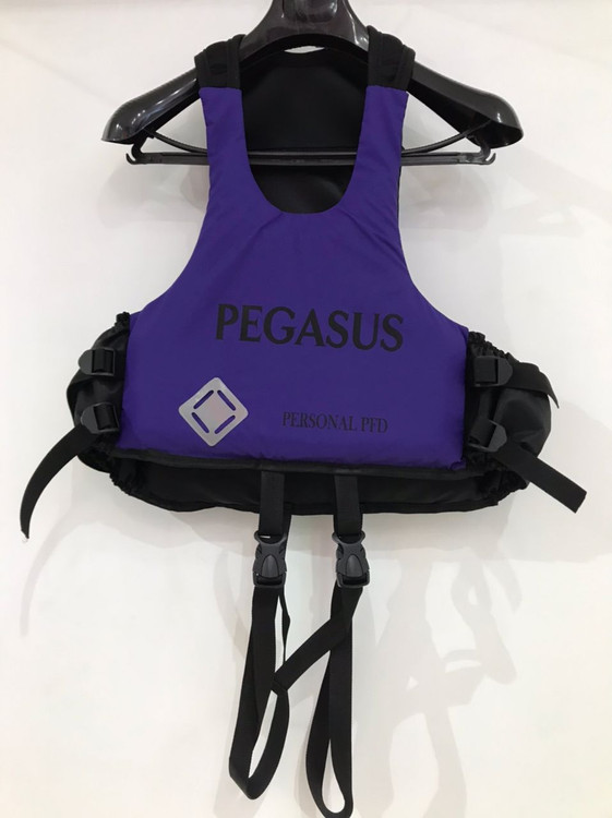 جلیقه پگاسوس