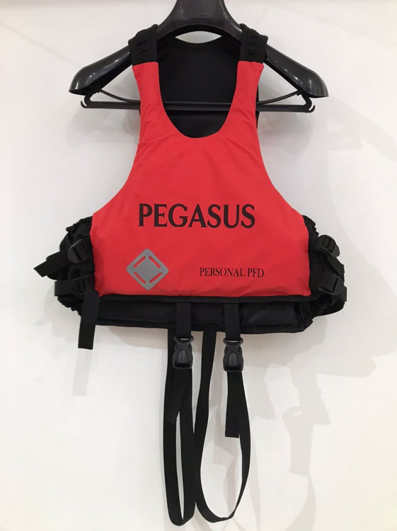 لایف پگاسوس